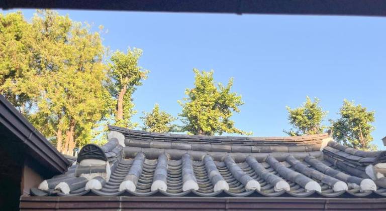 foto38
