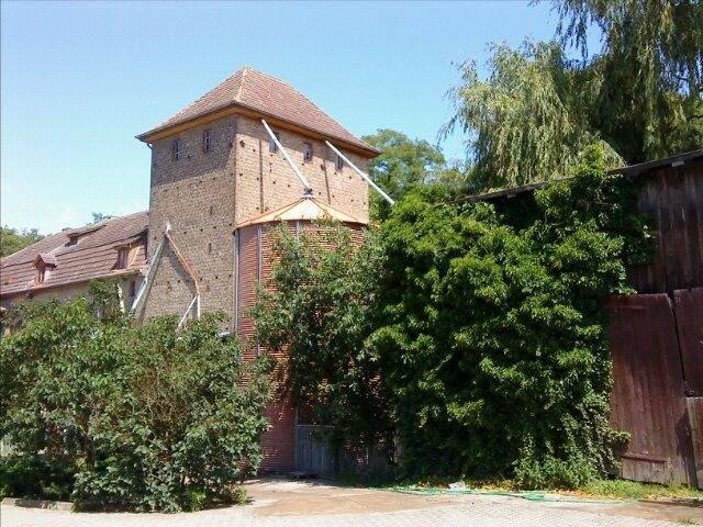 foto11