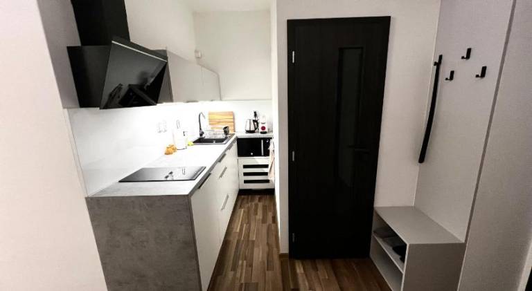 Apartment | Near Holy Trinity Column — photo 5