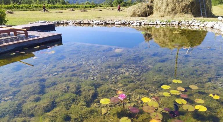 Wonderful lodge with private pool, BBQ & yard | Suitable for remote work | Pet-friendly — photo 5