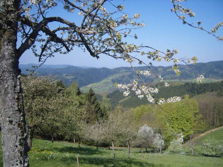 foto20