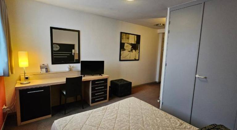 Hotel Lyon Sud — photo 3