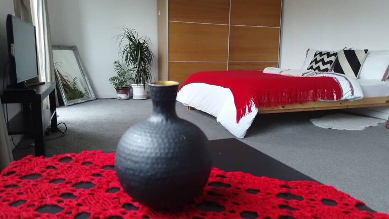foto9