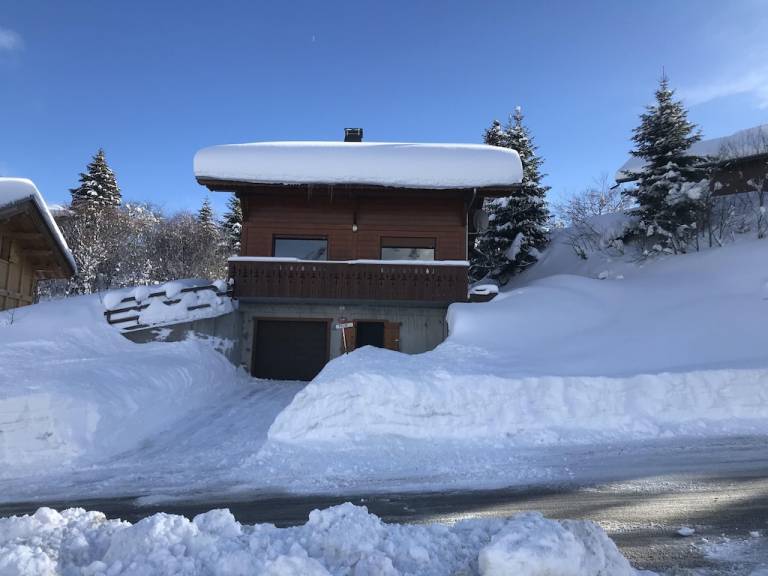 Chalet Le Praz de Lys