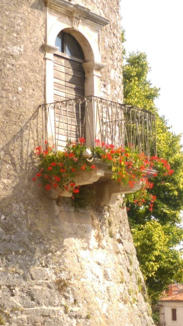 foto39
