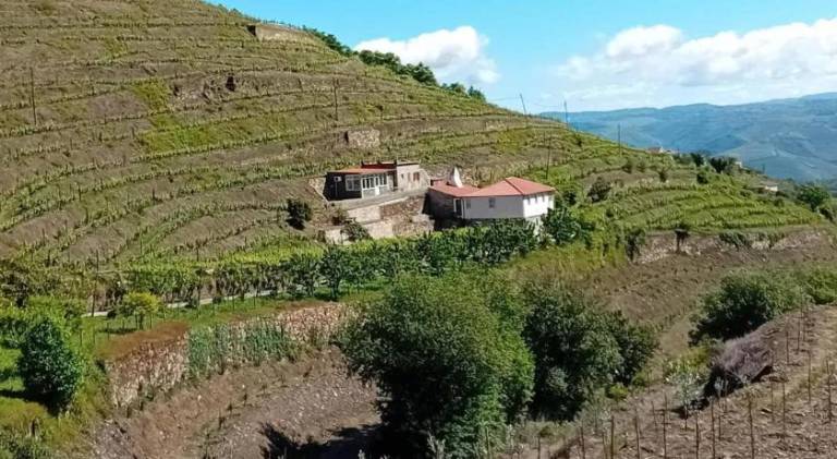 Charming Villa with Pool in Lamego in Viseu