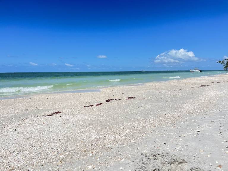 House Bonita Springs