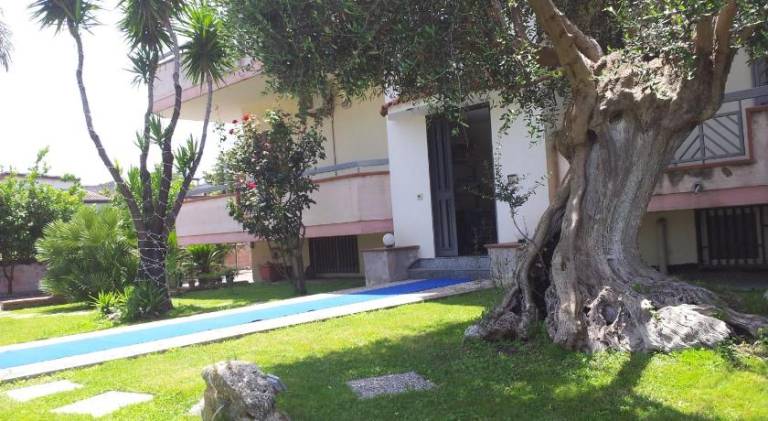 Vesuvio Bed & Breakfast — photo 2
