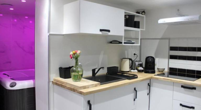 Nice rental apartment with hot tub | Pets are welcome — photo 4