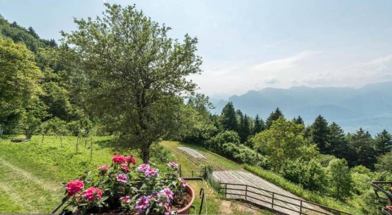 Ferienwohnung Naag-Turbel