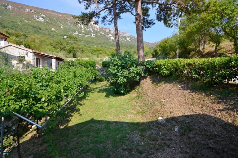 foto15