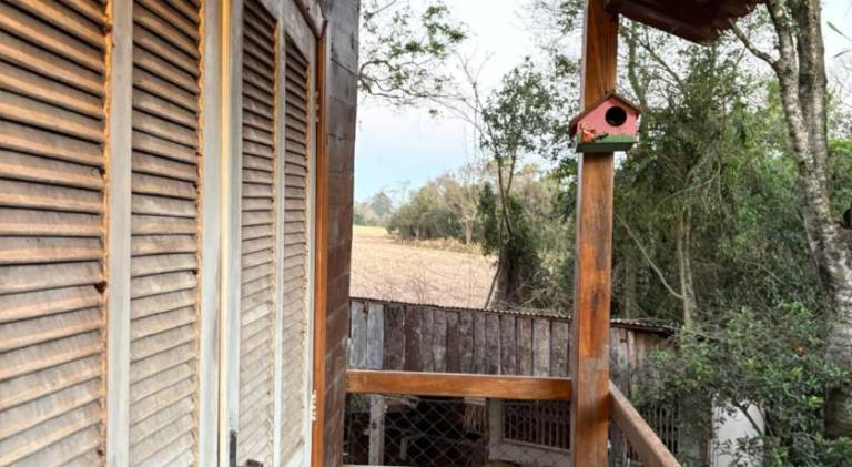 Casa da Arvore — photo 5