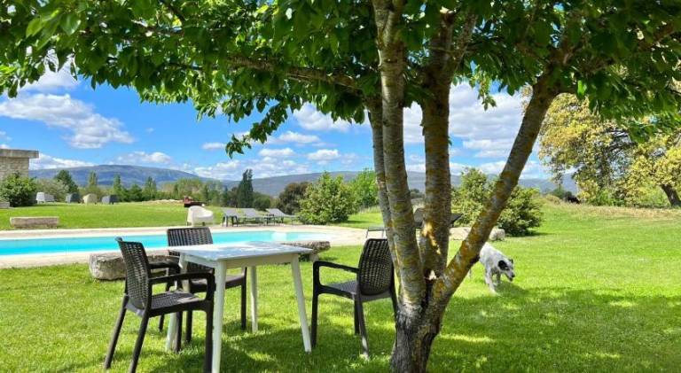 House with pool | Pet-friendly — photo 4