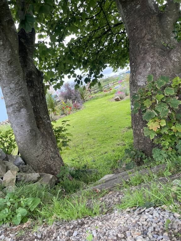 foto5