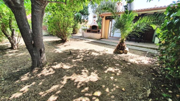 Family-oriented holiday apartment with barbeque | Dogs allowed — photo 3