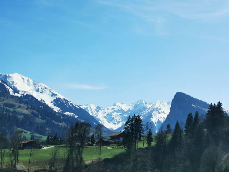 foto19
