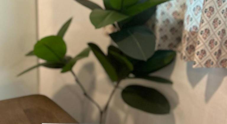 foto18