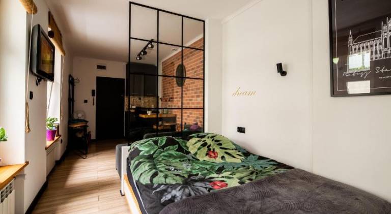 Pleasant holiday apartment | Pets are welcome in Torun