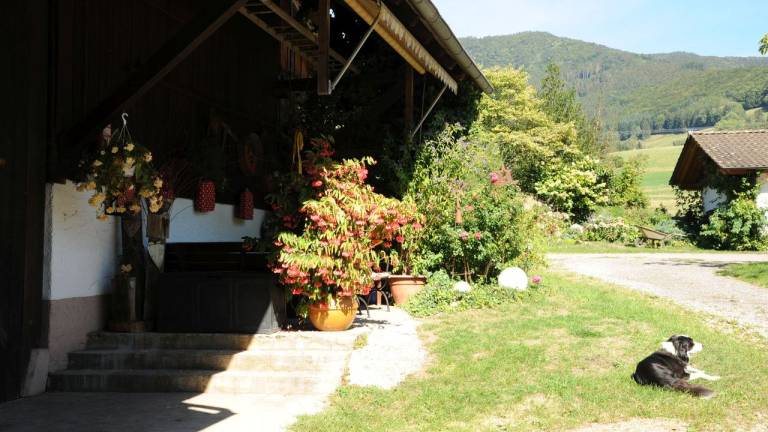 foto11