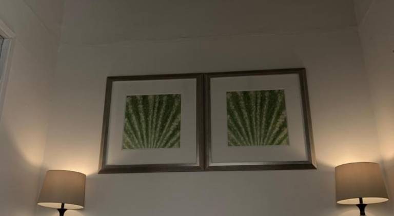 foto42