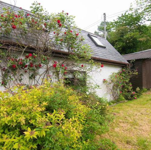 Chalet Glencoe
