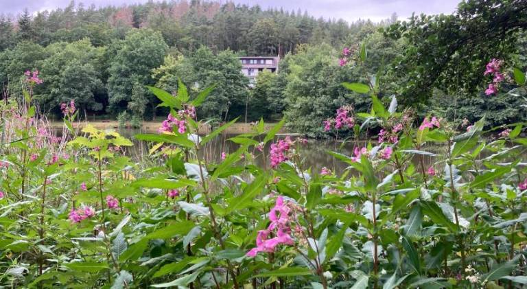 Ferienwohnung Ronshausen