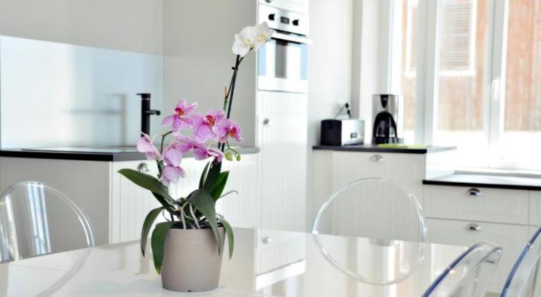 Beautiful apartment | Close to the beach | Pet-friendly in Bayeux