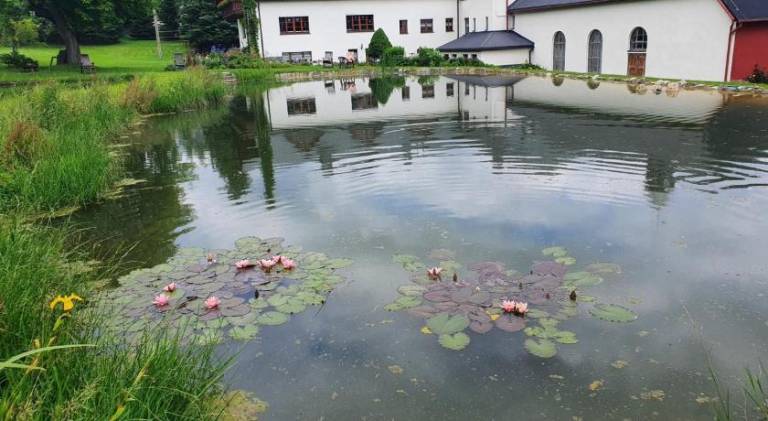 Gasthof-Pension Rotes Haus — photo 5