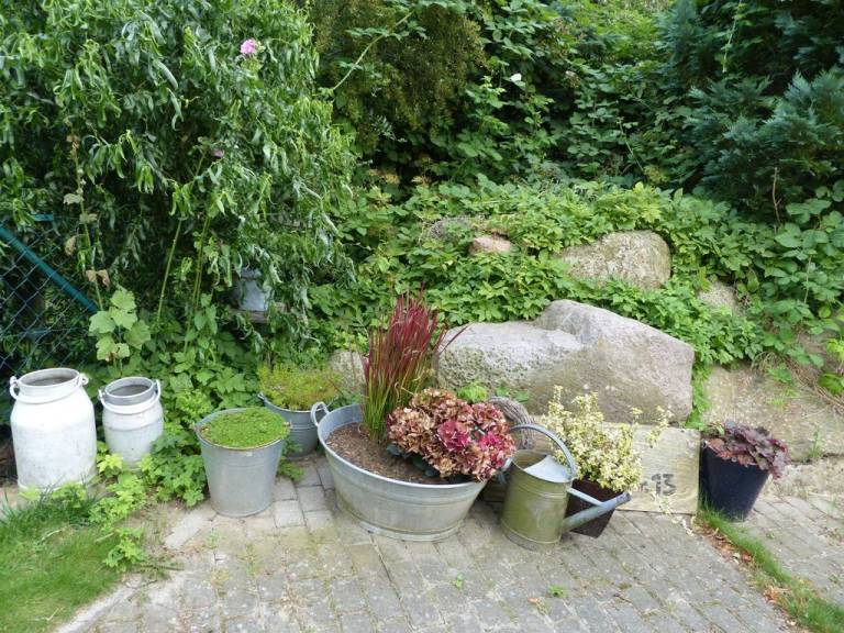 foto14