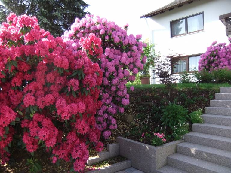 foto13