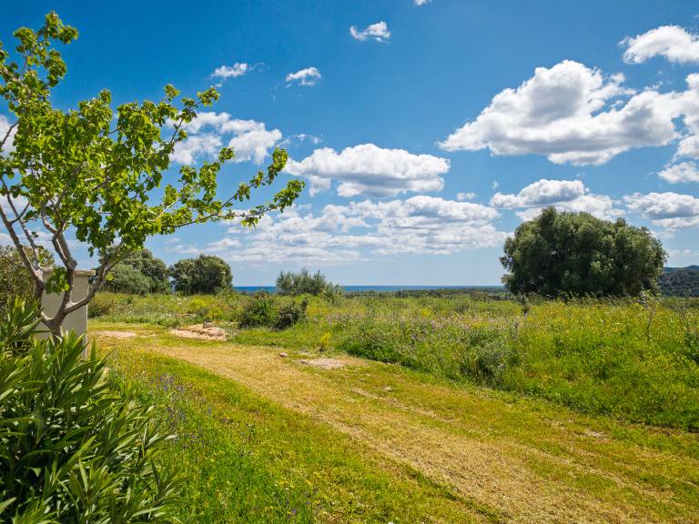 Privatzimmer San Teodoro