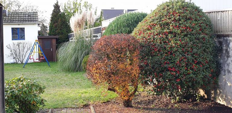 foto9