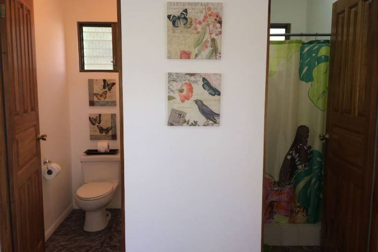 foto3