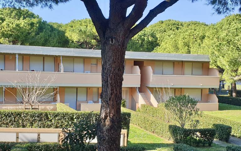 Holiday apartment with 2 rooms for 6 persons — photo 2
