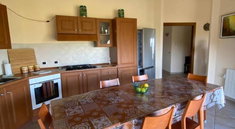Holiday apartment with yard & terrace | Pets allowed — photo 4