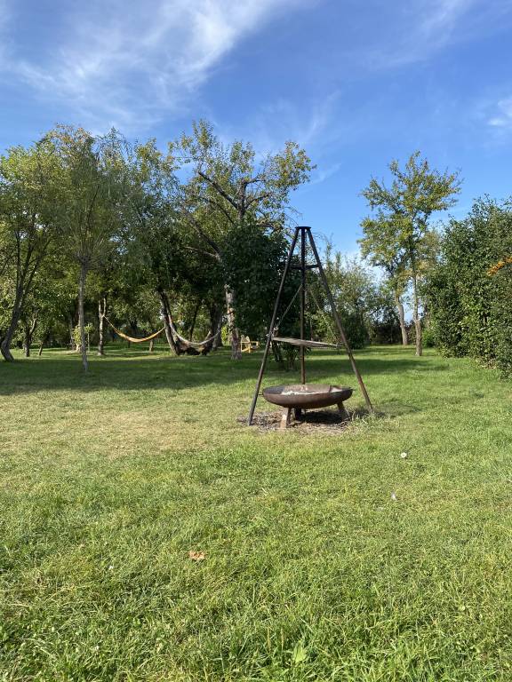 foto30