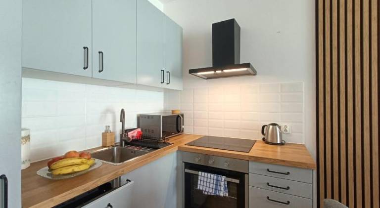 Beautiful rental apartment with sauna | Pets are welcome — photo 5