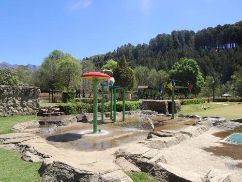 foto6