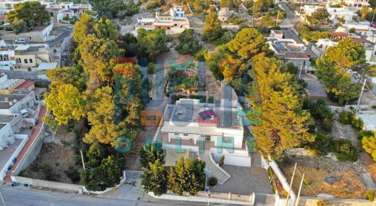 Pleasant holiday apartment | Pets allowed in Patu