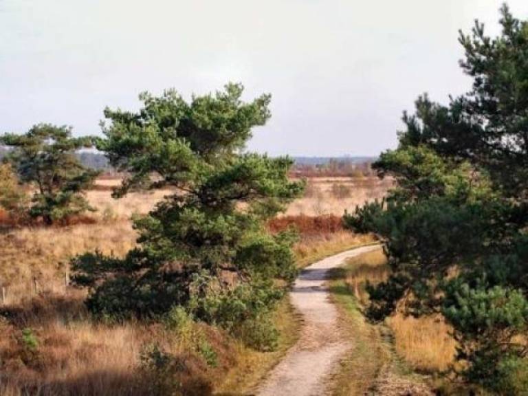 foto12