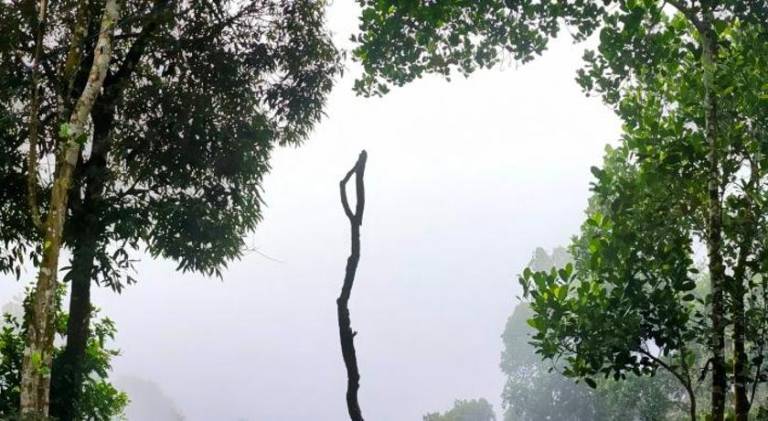 foto17