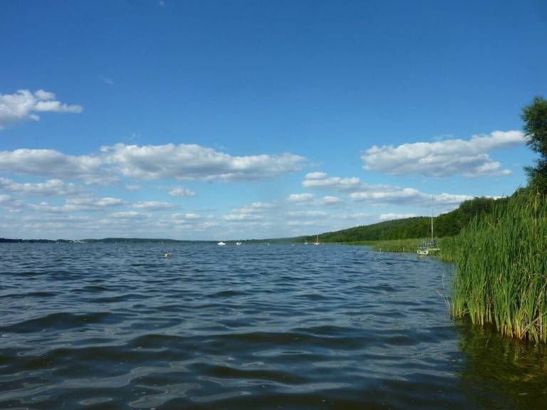 foto15