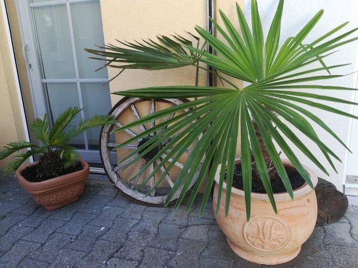 foto12