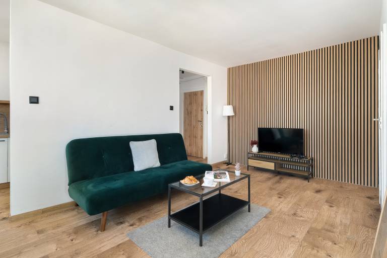 Family-oriented charming rental apartment with fast internet | Pet-friendly — photo 4