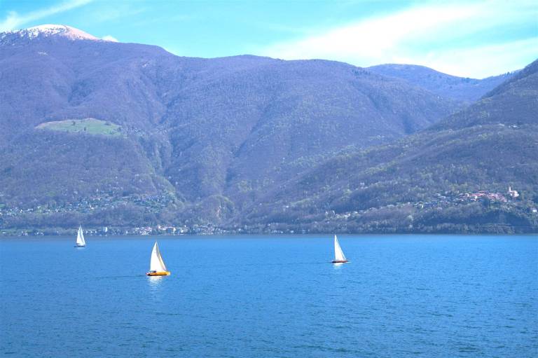 Ferienwohnung mit Hund in Brissago TI für max. 6 Personen