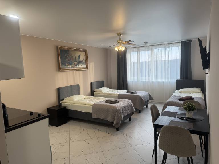 Habitación privada Šiauliai