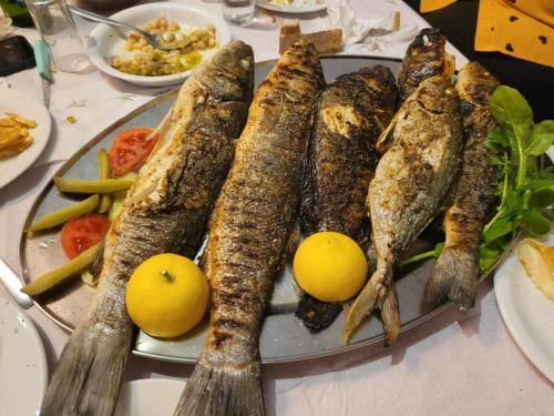 Serviced apartment  Skala Eresou