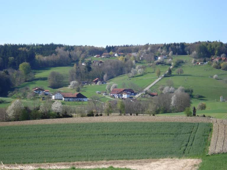 foto14