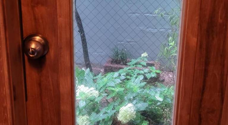foto33