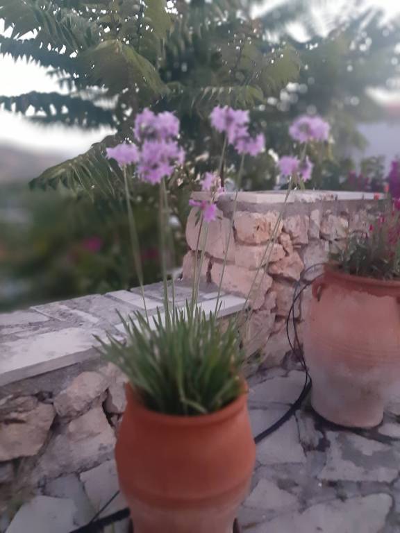 foto40